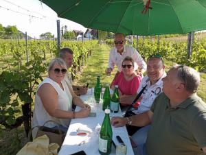 weinbluetenfest_tischen_2024 (15)