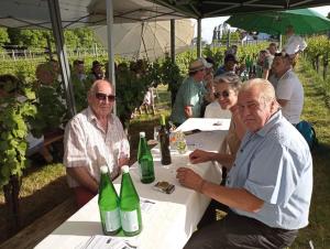 weinbluetenfest_tischen_2024 (18)